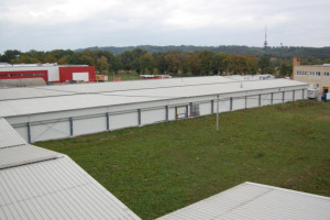 HRUŠKA 3.