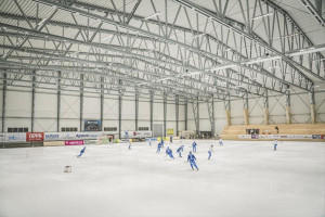 Eriksson Arena, Bandyhall