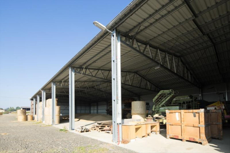 CZ0649 HOLLANDIA