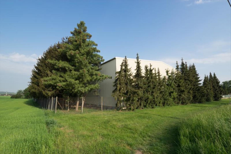 CZ0753 DREVO TRUST PROSTEJOV