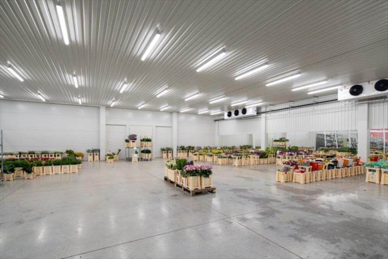 CZ0996 FLOORPLANT