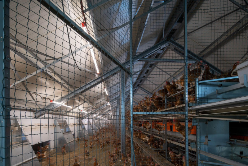 CZ001382 BIO VEJCE ROHOZNA